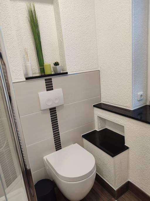 Fewo Erz-Zeit Annaberg-Buchholz Extérieur photo